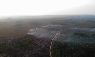 Região amazônica no Pará é consumida pelo fogo (Foto: Brigada de Alter do Chão)