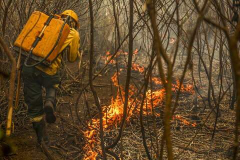 Fazendas onde incêndios tiveram início no Pantanal passam por perícia, diz Ibama