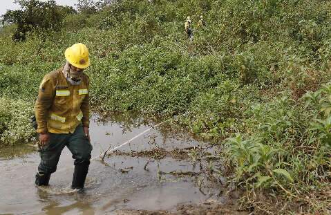 Comunidades afetadas pelo fogo no Pantanal recebem água potável e alimentos