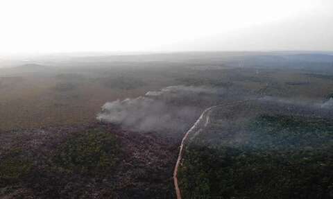 Apesar de crise no Pantanal, bioma que mais queimou no semestre foi a Amazônia 