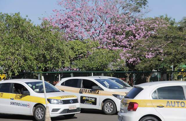 Altera&ccedil;&atilde;o em lei permite que auto escola usem ve&iacute;culos por at&eacute; 20 anos