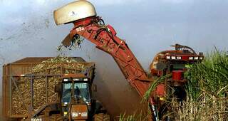 Máquina opera na colheita da cana em propriedade rural brasileira; seca tem favorecido colheita. (Foto: Arquivo/Unica)