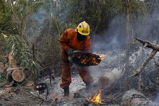 Brigadistas do Prevfogo/Ibama combatem incêndios na região de Corumbá/MS (Foto: Fernando Donasci/MMA)