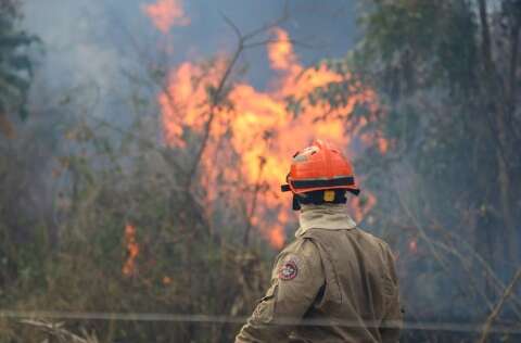 Defesa Civil recebe R$ 13,4 milhões para ações de combate ao fogo no Pantanal