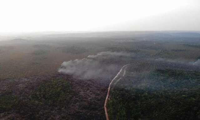 Apesar de crise no Pantanal, bioma que mais queimou no semestre foi a Amaz&ocirc;nia 