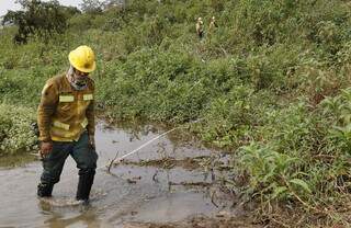 Brigadista do Prevfogo durante combate à incêndios no Pantanal, em Corumbá (Foto: Fernando Donasci/MMA)