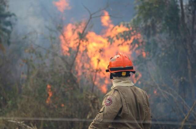 Defesa Civil recebe R$ 13,4 milh&otilde;es para a&ccedil;&otilde;es de combate ao fogo no Pantanal