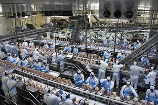 Trabalhadores manuseando frango em indústria (Foto: Divulgação/Fiems)
