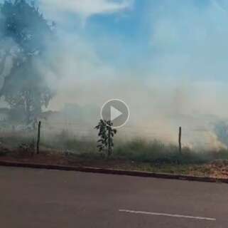 Com mato alto e seco, incêndio consome área no Santa Luzia 