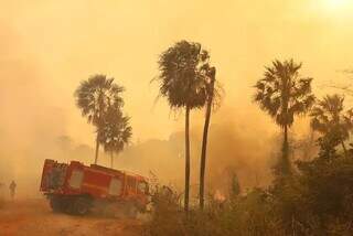 Incêndio em vegetação no Pantanal deixa céu esfumaçado e alaranjado (Foto: Álvaro Rezende/Governo de MS)