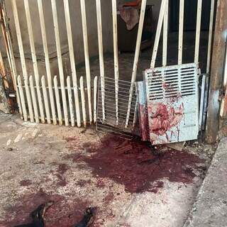 Sangue de animal atacado por pitbulls na calçada da casa do animal (Foto: Direto das Ruas)