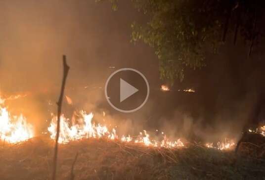 Terreno pega fogo e chamas atingem &aacute;rvore de grande porte em bairro da Capital 