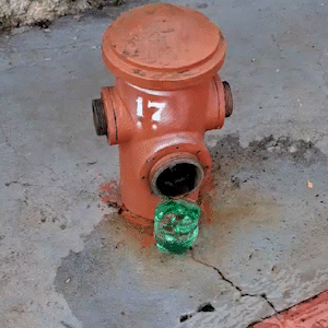 Homem denuncia vazamento de hidrante que já dura uma semana