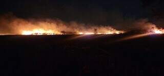 Incêndio na região de Douradina, Terra Indígena Lagoa Rica Panambi. (Foto: Divulgação/Aty Guasu)