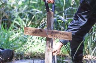 Cruz mostra que cachorro com o nome Gohan foi enterrado em terreno no Bairro Autonomista, em Campo Grande (Foto: Marcos Maluf/Arquivo)