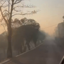 Fumaça de incêndio volta a encobrir área urbana de Corumbá 
