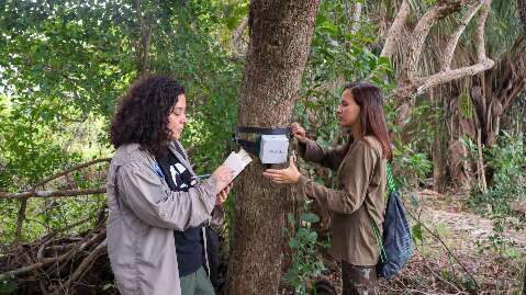 Projeto usa sons dos animais para catalogar biodiversidade no Pantanal