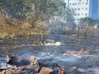 Áres devastada pelo fogo (Foto: Geniffer Valeriano)