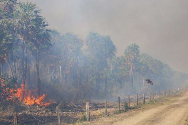 Clima piora e Pantanal volta a ter seis focos de inc&ecirc;ndios