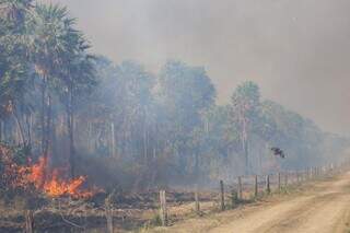 Foco de incêndios em Corumbá neste fim de semana (Fotos: Álvaro Rezende)
