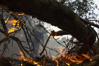 Foco de incêndio no Pantanal (Foto: Fernando Donasci/MMA)