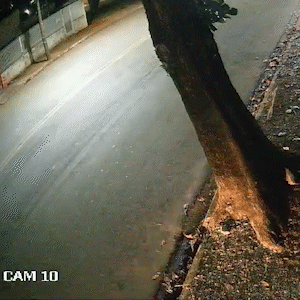 Vídeo mostra pancada de carro em árvore e capotagem na Avenida Tamandaré