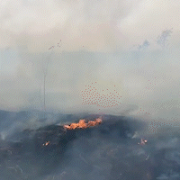 Incêndio em chácara faz comércio fechar: “É igual ao Pantanal, todo ano tem”