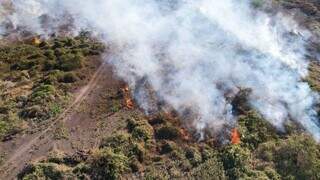 Incêndio em área do Pantanal de MS registrado no último domingo (Foto: Divulgação/Corpo de Bombeiros)