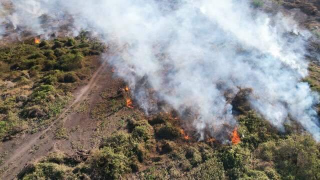 Inc&ecirc;ndios voltam ao Pantanal e foco &eacute; identificado pr&oacute;ximo a saf&aacute;ri de luxo