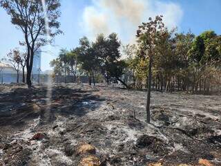 Após incêndio, terreno vazo na Chácara Cachoeira ficou coberto de cinzas (Foto: Geniffer Valeriano)