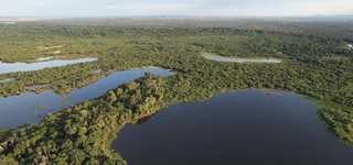 Imagem aérea da RPPN Neivo Pires, no Pantanal (Foto: Funatura)