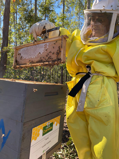 Entre projetos que a empresa mantém na comunidade consta o apoio à apicultura