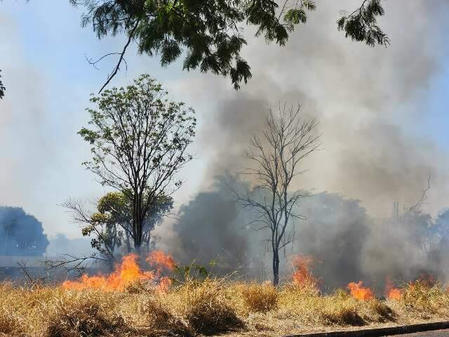 Enquete: 73% dos leitores moram em regi&otilde;es afetadas pelas queimadas urbanas