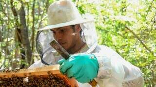 Produtor de mel manejando abelhas na Serra do Amolar  (Foto: Victor Sanches/Ecoa)