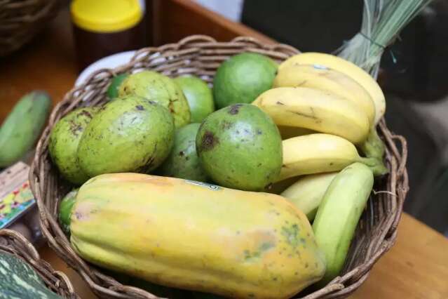 Com que frequência você costuma inserir frutas na sua alimentação? 