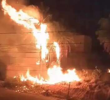 Incêndio queima vegetação de terreno baldio no bairro Vilas Boas