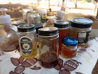 Variedade de mel recolhidos dos ninhos; cor e sabor muda de acordo com a espécie (Foto: Idaicy Solano)