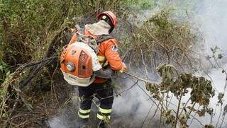 Pantanal de Corumbá sofre com os incêndios florestais (Foto: arquivo / Alex Machado)