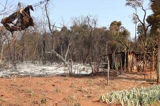 No canto direito da imagem, um dos barracos que pegou fogo na aldeia Água Bonita (Foto: Osmar Veiga)