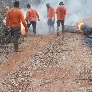 Brasileiros atuam na Bolívia para incêndio não chegar à Serra do Amolar
