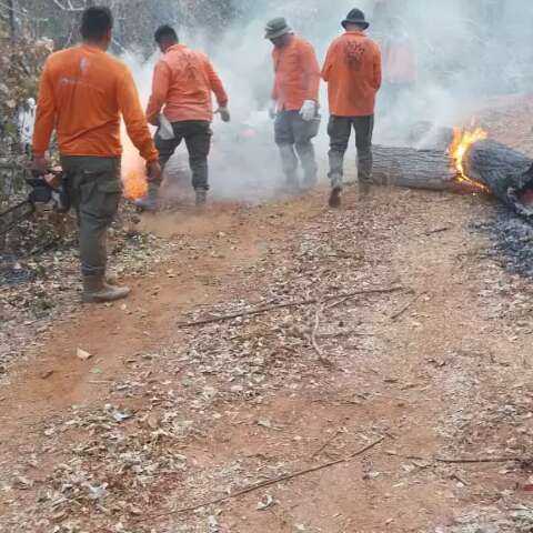 Brasileiros v&atilde;o &agrave; Bol&iacute;via para fogo n&atilde;o chegar &agrave; Serra do Amolar