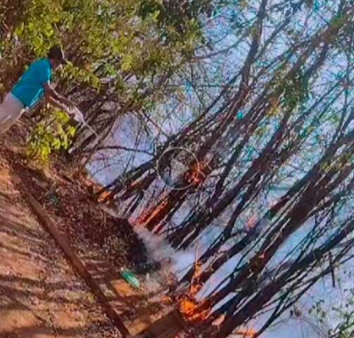 Inc&ecirc;ndio em ch&aacute;cara se alastra e chega a beira de rua no Jardim Anache