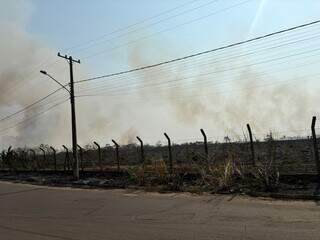 Área queimada próxima a rede de energia elétrica na Capital (Foto: Gabi Cenciarelli)