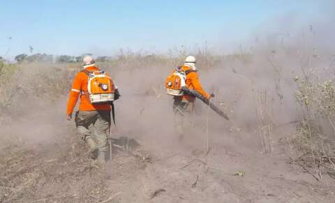 MP investiga mais quatro fazendas que tiveram 4,1 mil hectares queimados