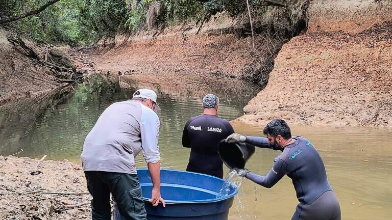 Campo Grande News