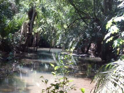Grupo aponta “séria ameaça” com agrotóxicos em bacia de rio cênico de Bonito