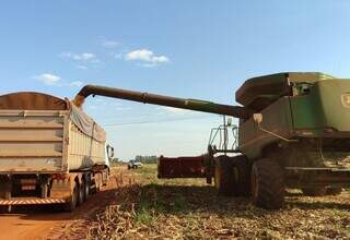 Colheitadeira descarrega milho em caminhão durante operação em lavoura. (Foto: Divulgação/Aprosoja-MS)