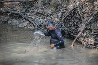 Peixe é removido do rio para ser levado a outro trecho. (Foto: Marcos Maluf)