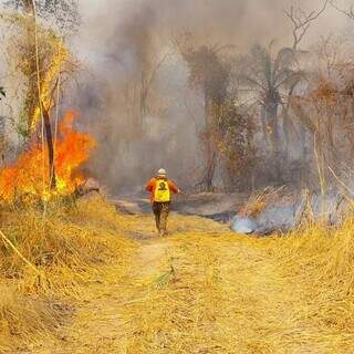 Brigadista do Instituto Pantaneiro em combate ao fogo na fronteira com a Bolívia (Foto: Divulgação/IHP/Redes sociais)