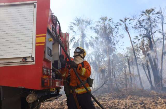 MS recebe refor&ccedil;o de 13 bombeiros de Sergipe para combater fogo no Pantanal